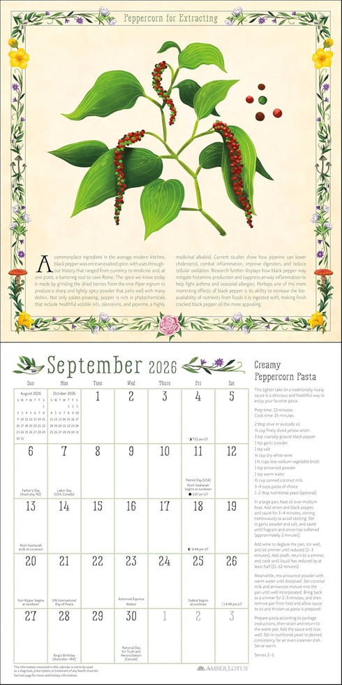 KITCHEN WITCH 2026 WALL CALENDAR